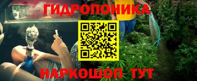эйфоретик Тара