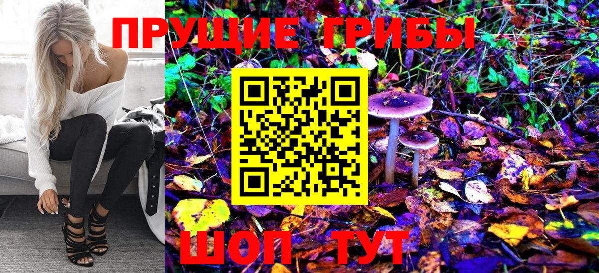 Галлюциногенные грибы MAGIC MUSHROOMS  Вход с VPN  Псилоцибиновые грибы Psilocybine cubensis  Новороссийск 
