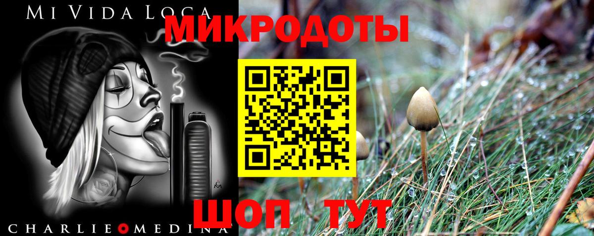 Псилоцибиновые грибы ЛСД Новороссийск
